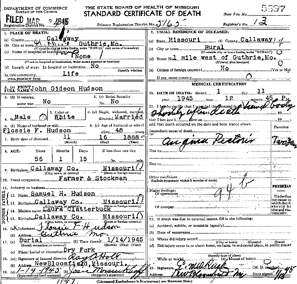 Death Certificate of Hudson, John Gideon