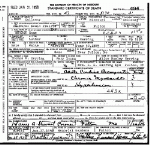 Death certificate of Herring, Luther E. Death certificate of Herring, Luther E.