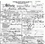 Death Certificate of Houchins, Sallie Stultz