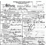 Death Certificate of Houchins, Sallie Stultz Death Certificate of Houchins, Sallie Stultz