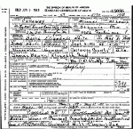Death Certificate of White, Sallie Elizabeth Brooks