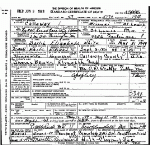 Death Certificate of White, Sallie Elizabeth Brooks Death Certificate of White, Sallie Elizabeth Brooks