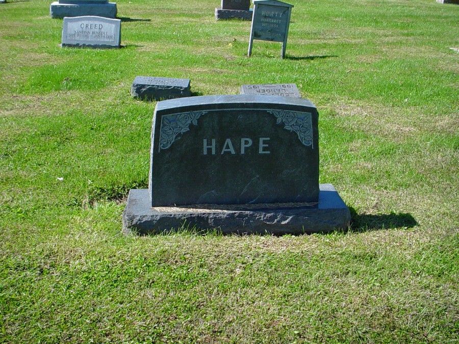  Hape Family