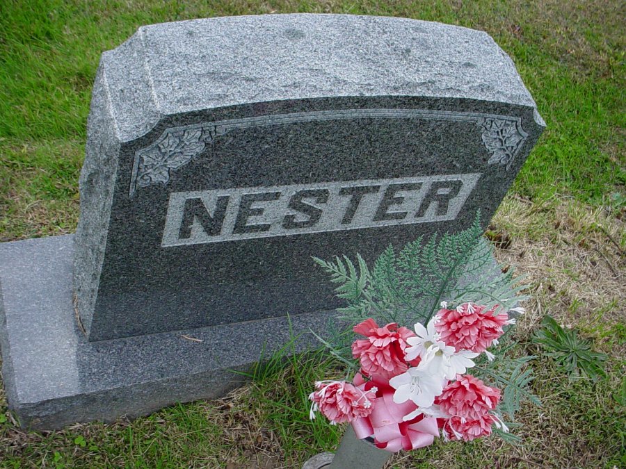  Nester family