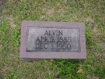  Alvin Willis