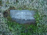  Dewey Carroll