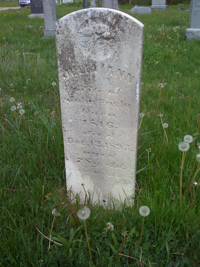  Julia Ann Pasley