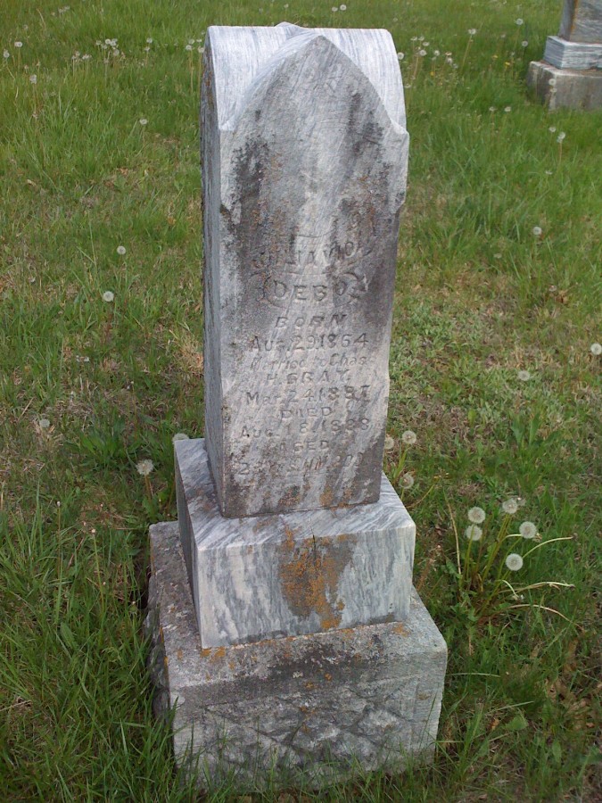  Julia V. Debo Gray
