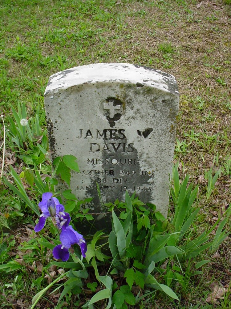  James Willis Davis