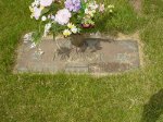 Lester C. Taylor & Hester Martin Lester C. Taylor & Hester Martin