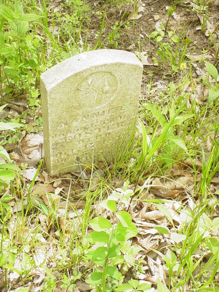  Nannie E. Guthrie