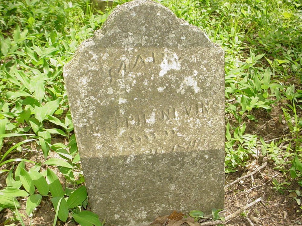  Mary Howdershell Nevins