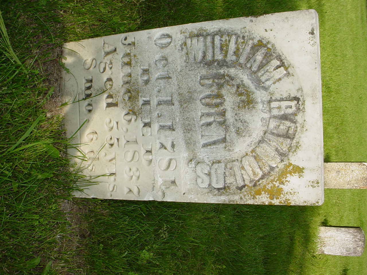  William Reynolds