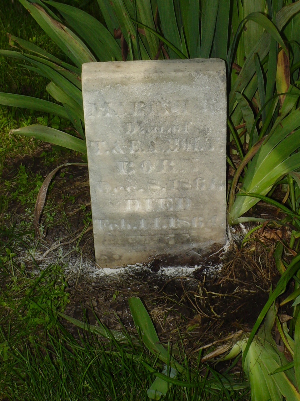  Mariah E. Holt