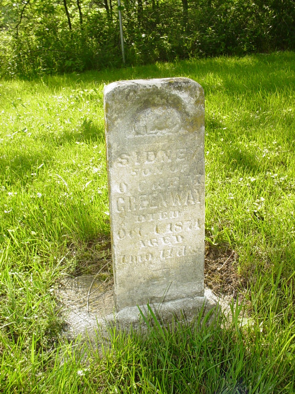  Sidney Greenway