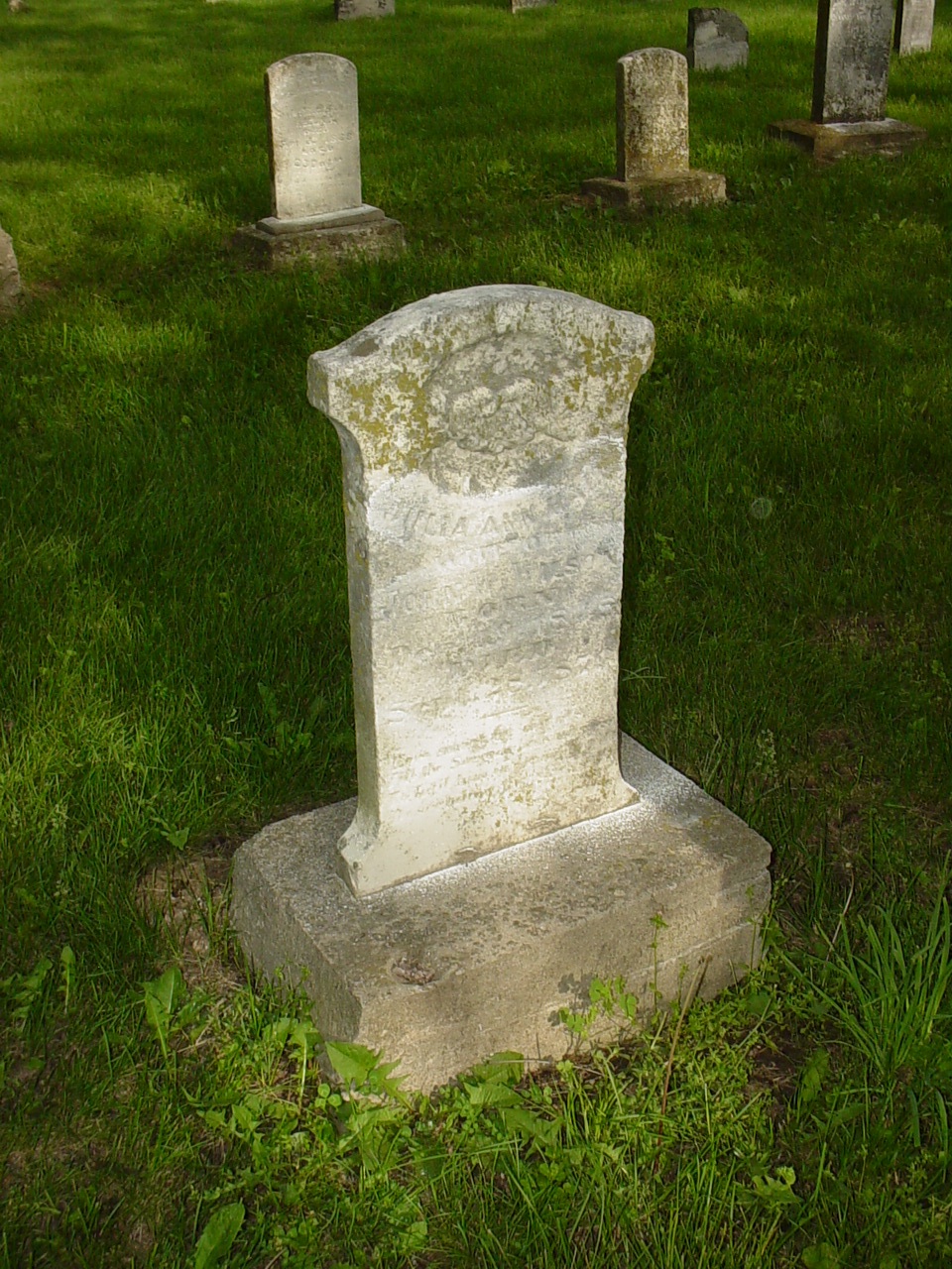  Julia Ann Hale Wilson
