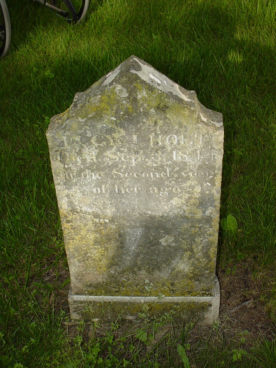  Lucy J. Holt