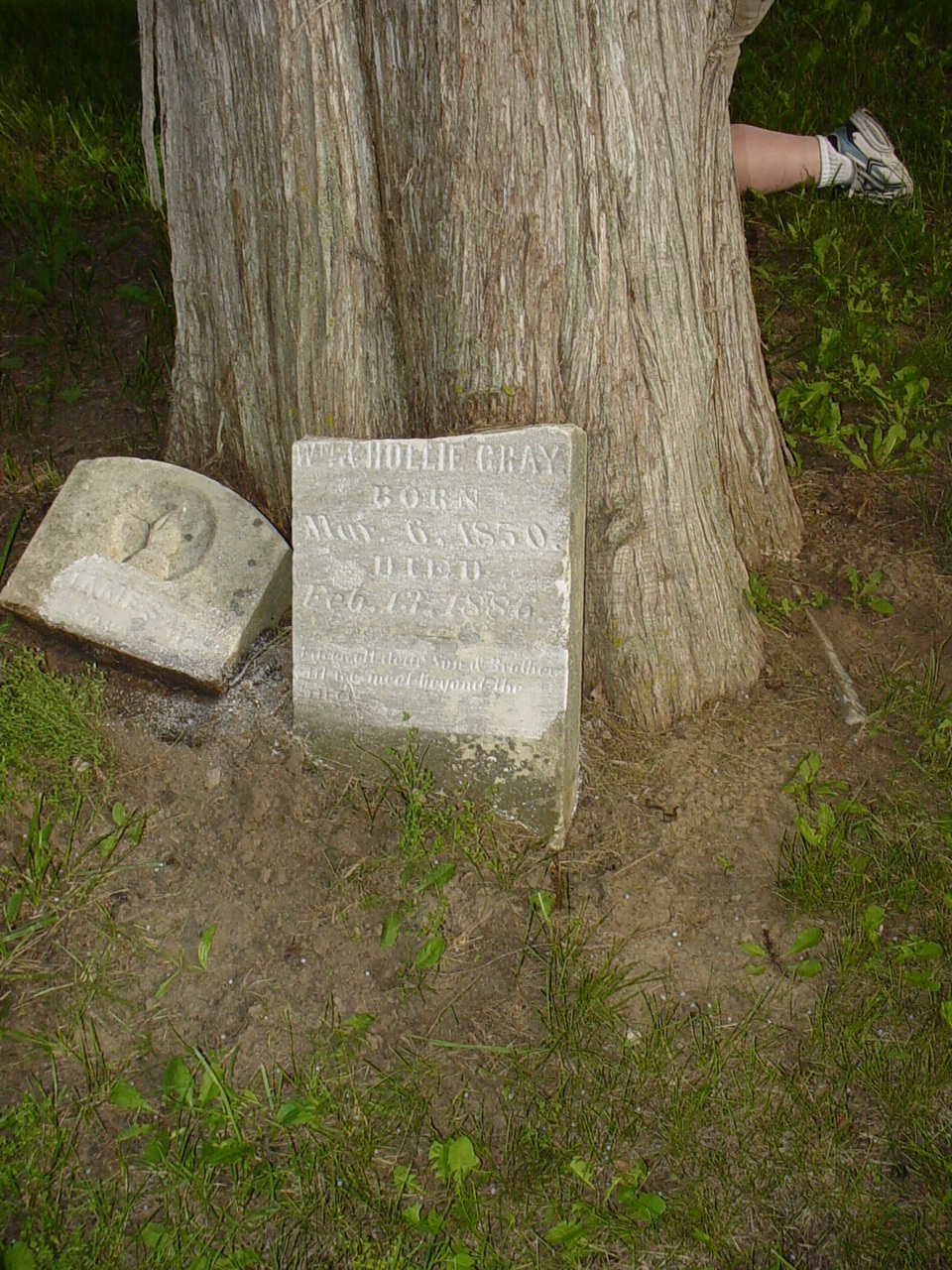  James W. Gray