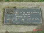  David W. Herring