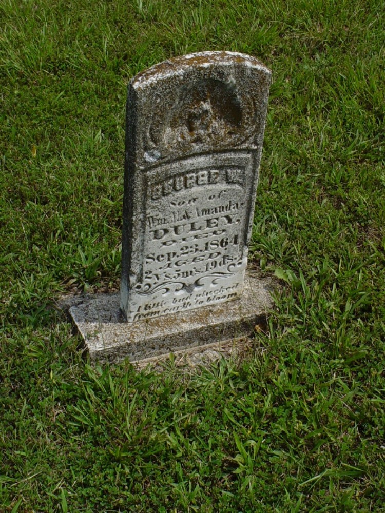  George W. Duley