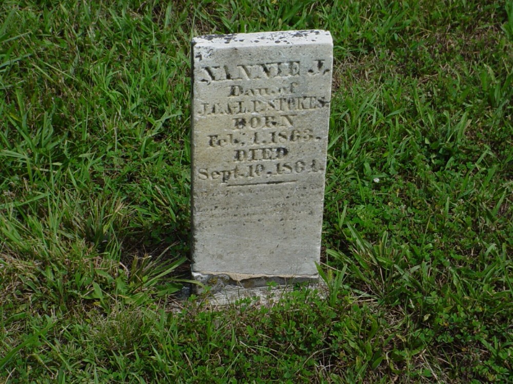  Nannie J. Stokes