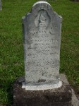 Julia A. Holt Carrington Julia A. Holt Carrington
