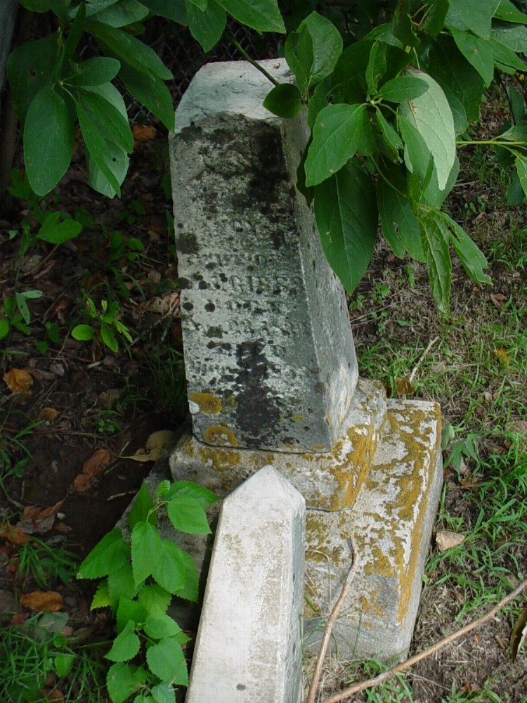  Nancy A. Gibbs