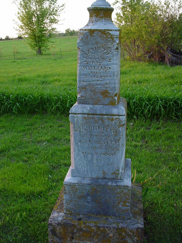  Elizabeth Williams & George Beaven