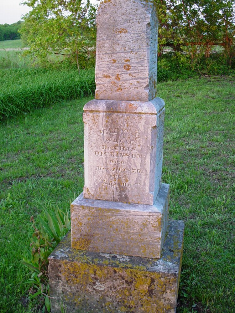  Mary J. Dickinson
