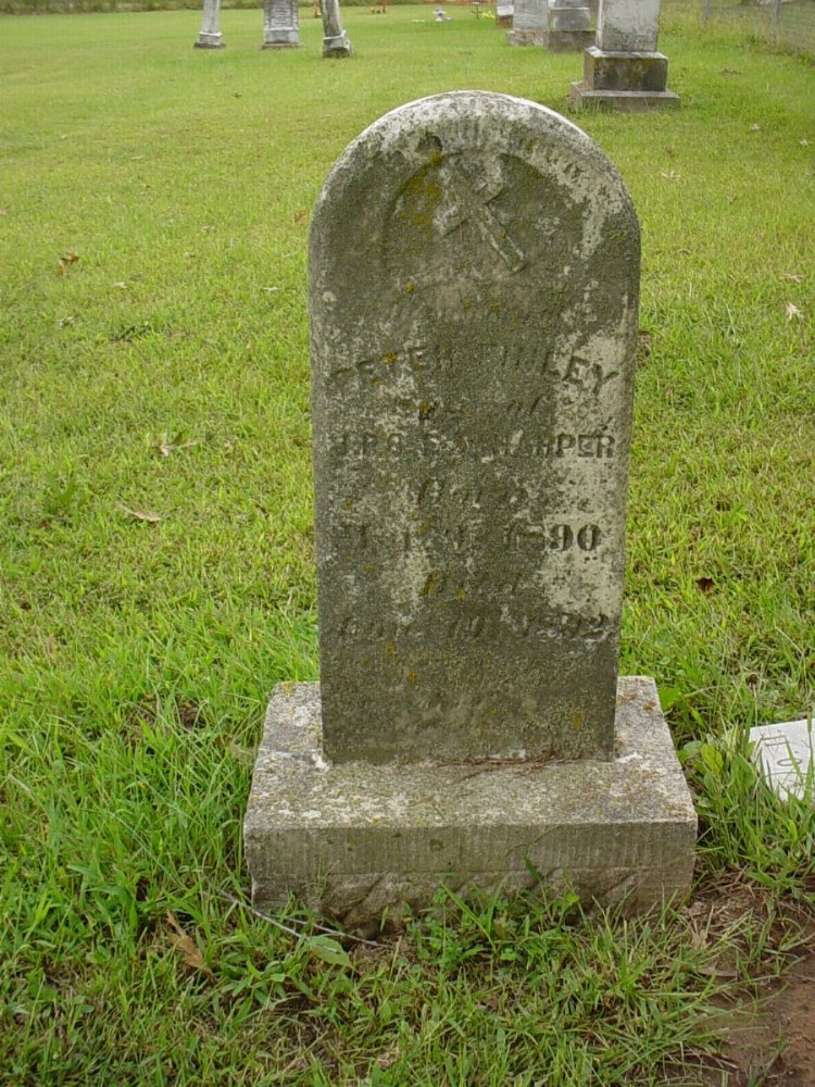  Peter Harper