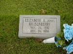  Elizabeth A. Jones