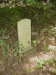 George Washington Herring Sr. George Washington Herring Sr.