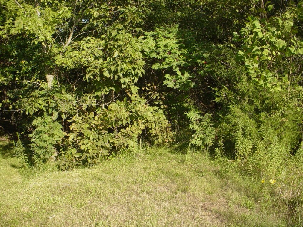  Herring Carter Cemetery (destroyed)