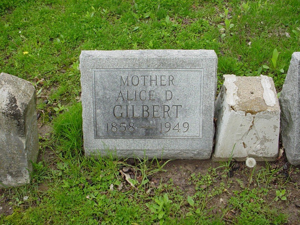  Alice Davis Gilbert