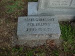 Jessie Gibbs Day Jessie Gibbs Day