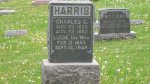  Charles L. Harris & Lizzie Robinson