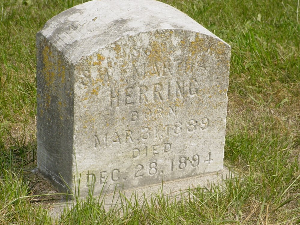  William Herring