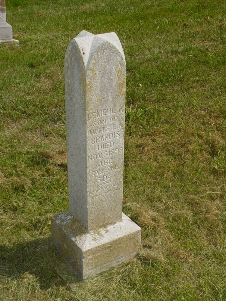  Lemeul W. Brandis