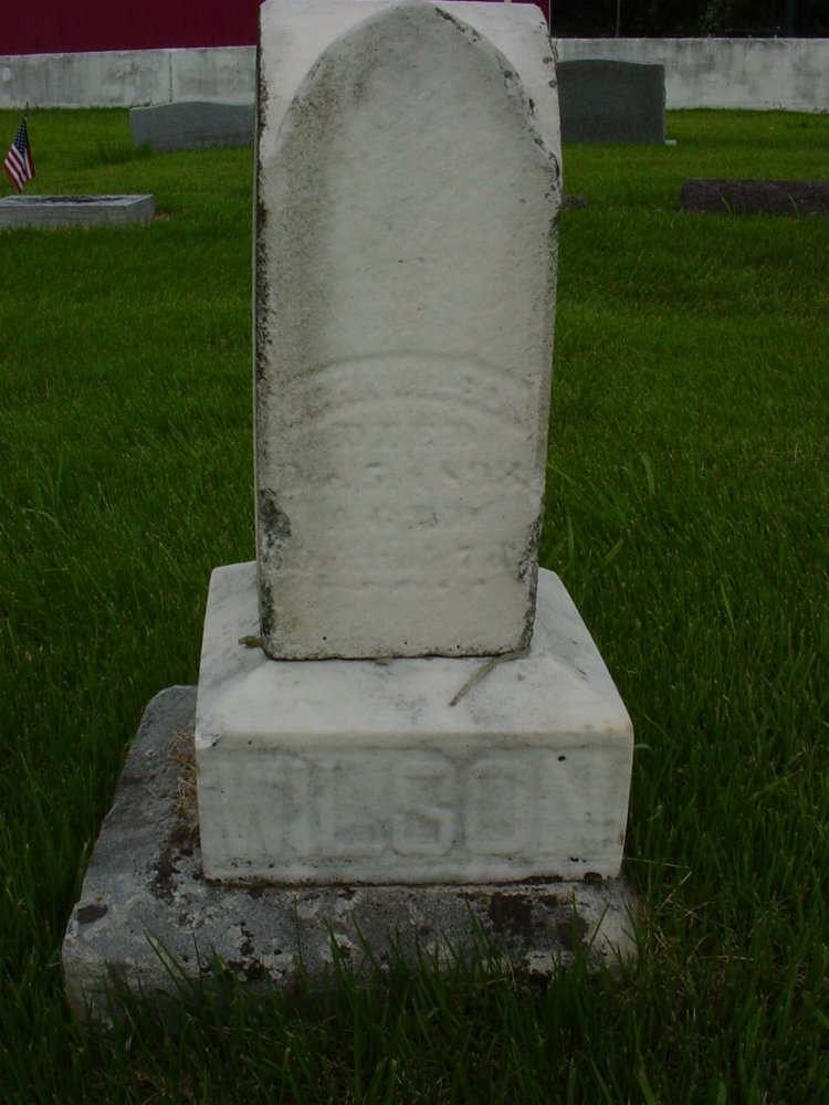  John Wilson