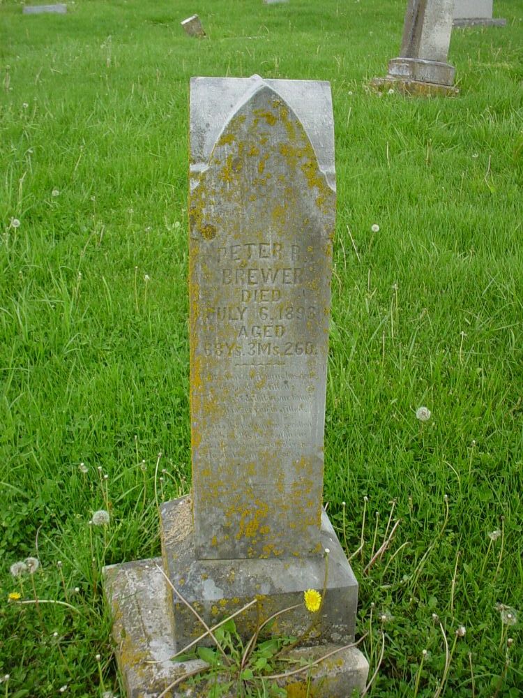  Peter R. Brewer