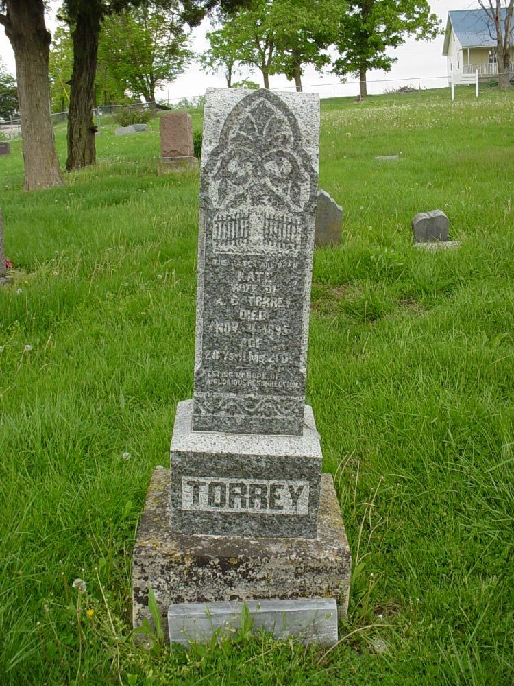  Kate Torrey