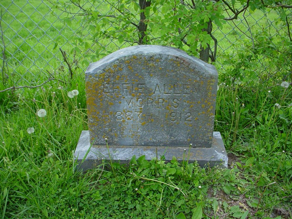  Effie Allen Morris