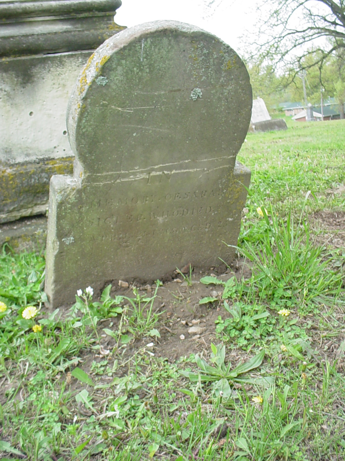  Sarah Nalley Sigler