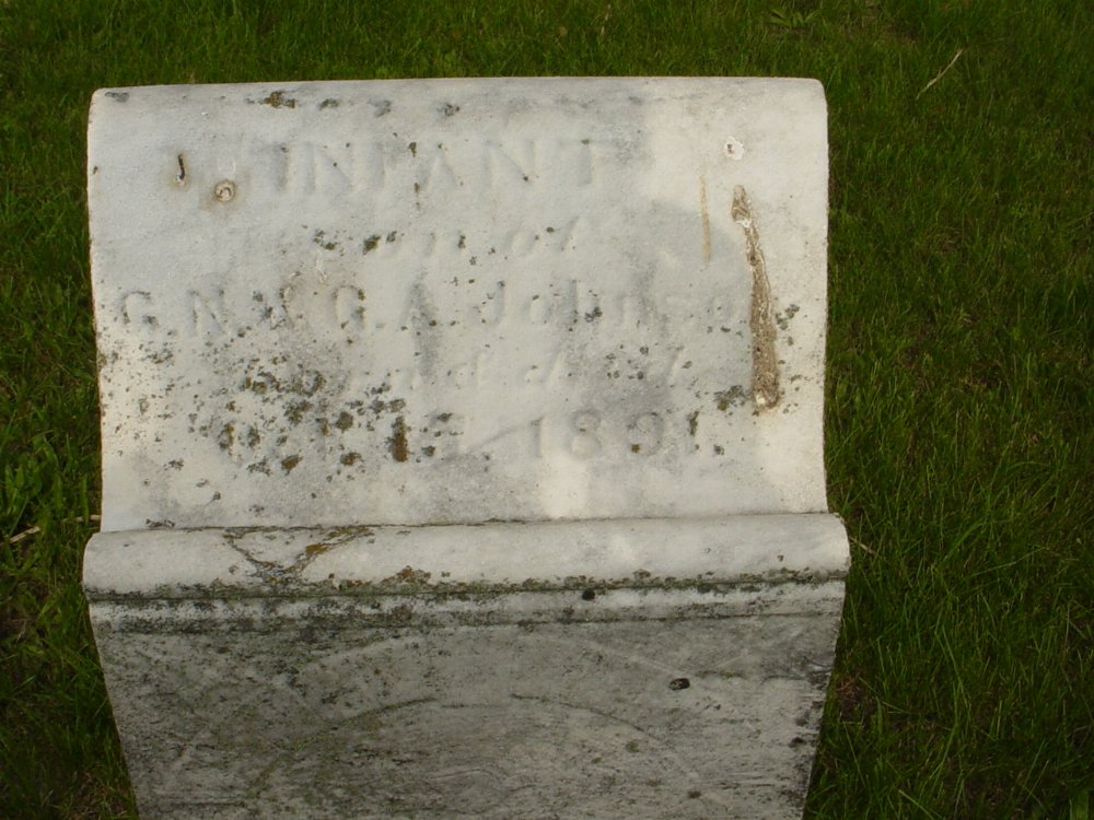  Infant Johnson 1891