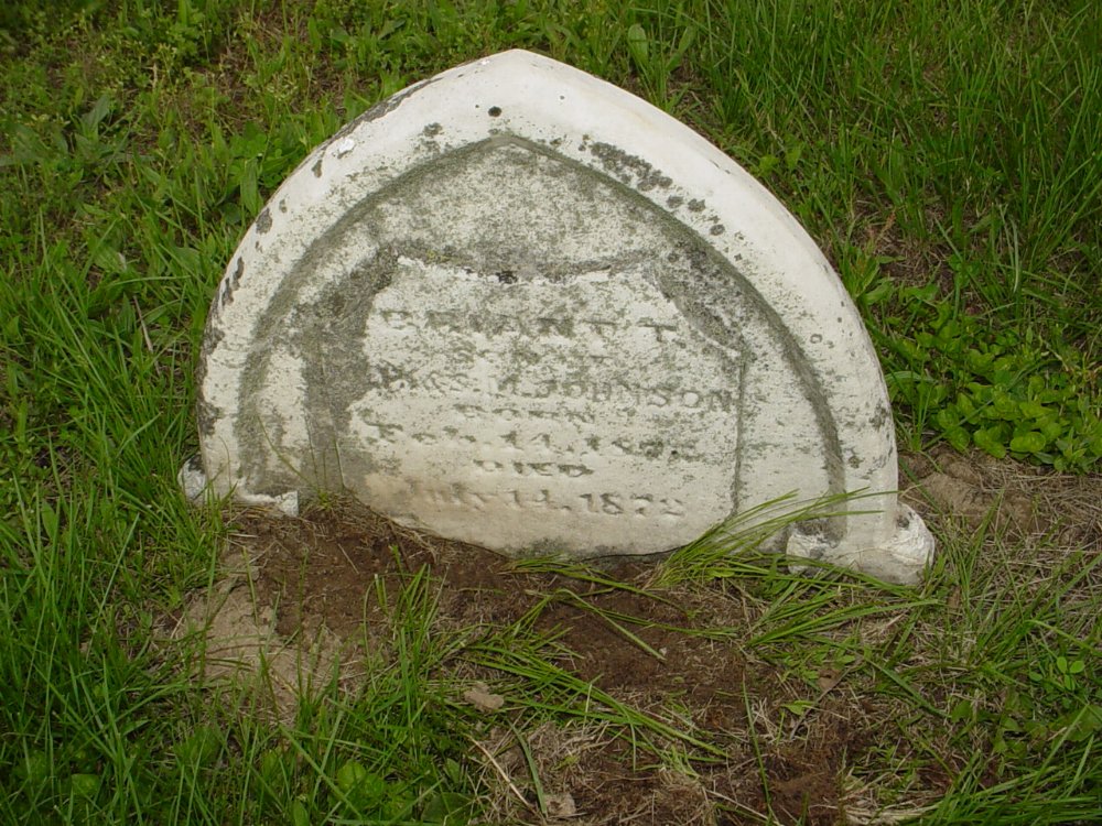  Bryant T. Johnson