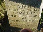 Arvin Hamilton Arvin Hamilton
