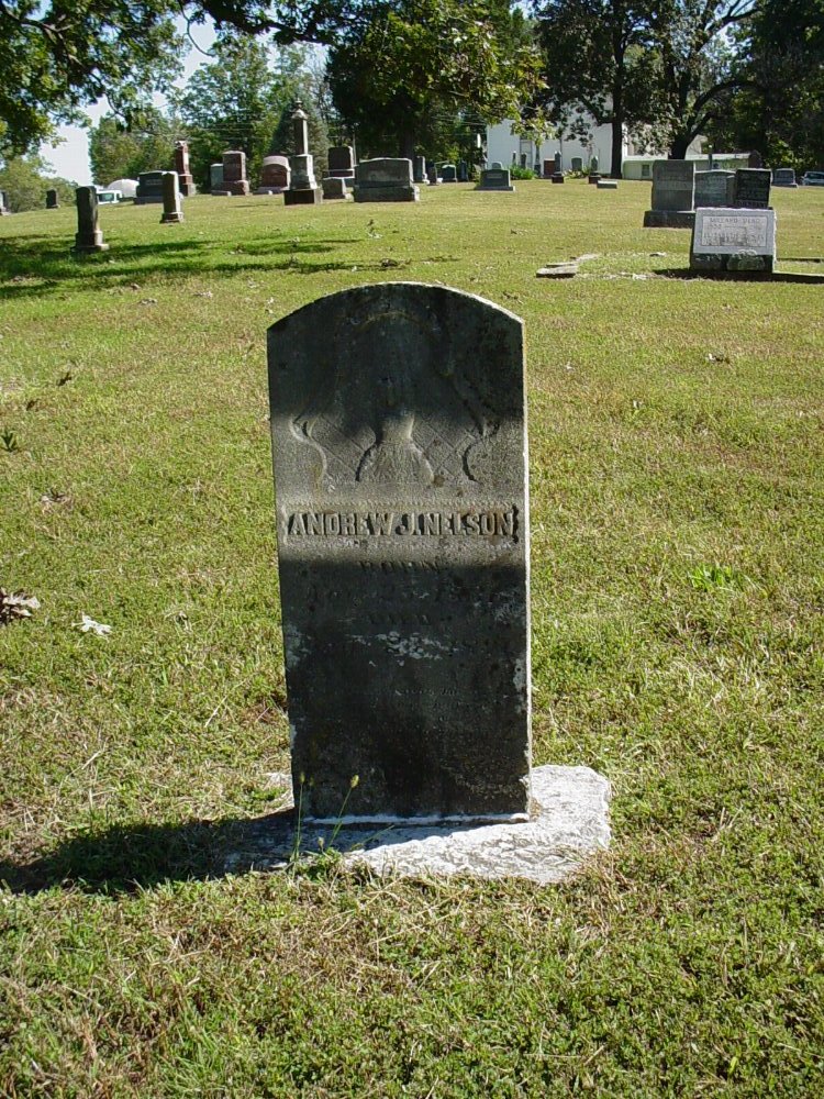  Andrew Nelson