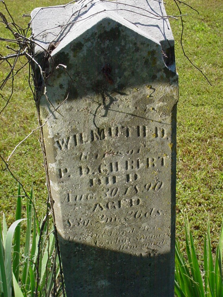  Wilmuth Gilbert