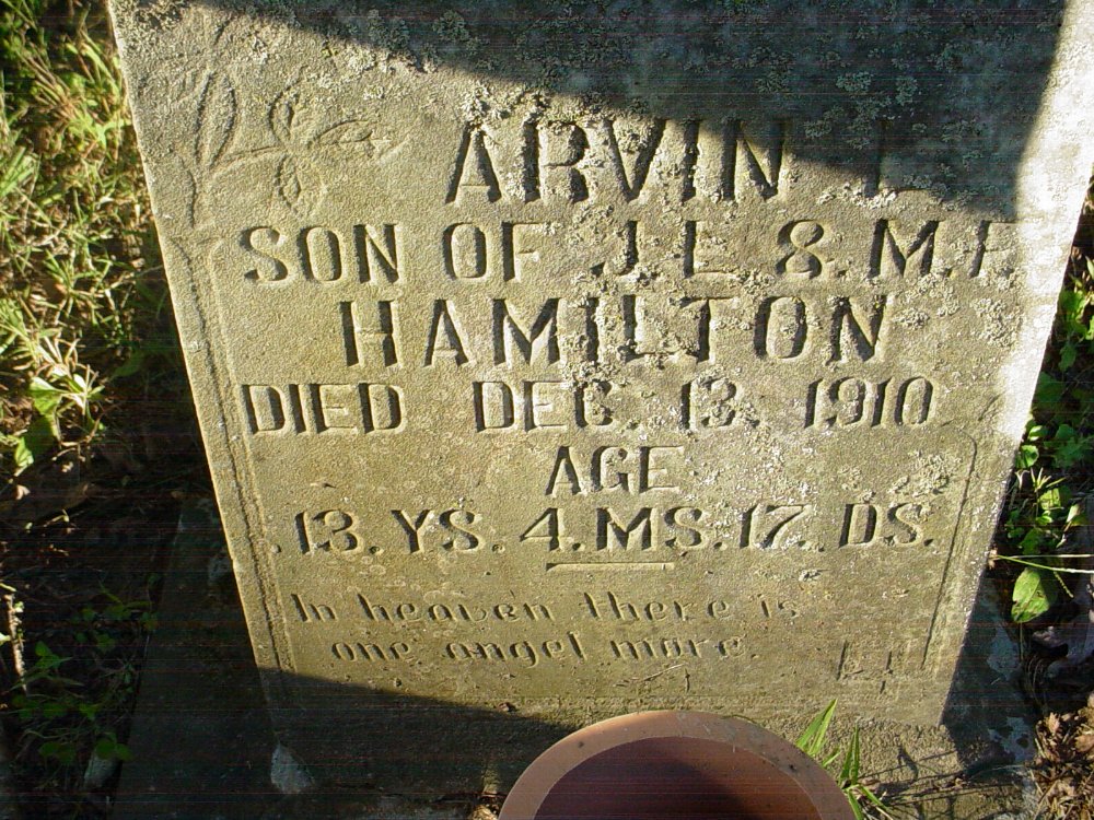  Arvin Hamilton