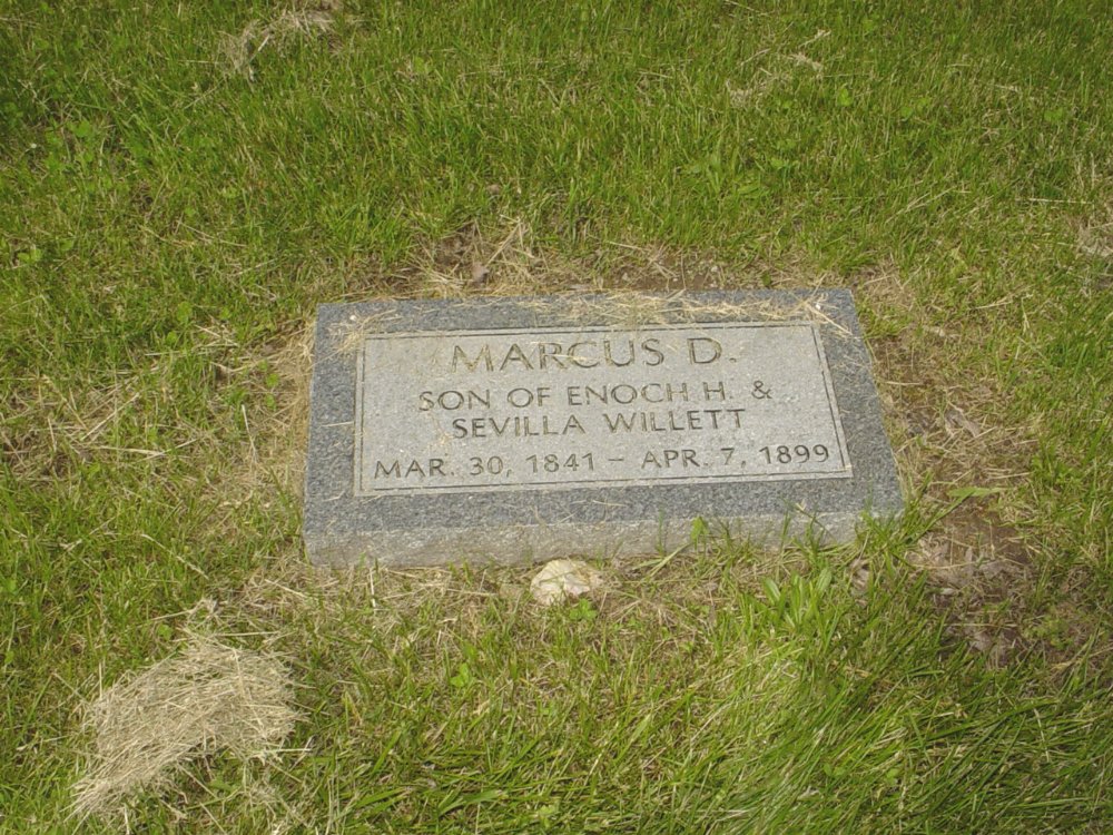  Marcus D. Willett